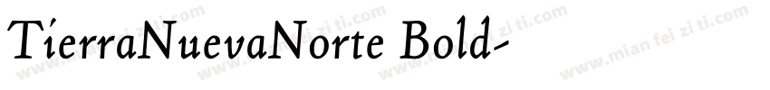 TierraNuevaNorte Bold字体转换